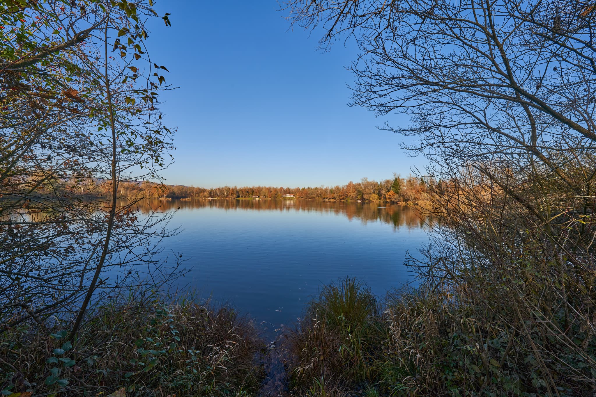 Herbst, Waldsee Lago, PAN, Niederbayern, Bäderdrieck - Waldsee Lago in Kirchdorf am Inn, Rottal-Inn, Niederbayern. Herbstliche Landschaft im Bäderdrieck, Deutschland, mit klarem Wasser, Bäumen und blauem Himmel.