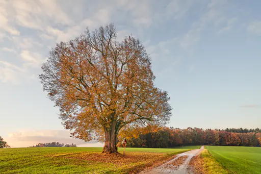 Herbstliches Birnbach, Erlbach, Altötting, Oberbayern