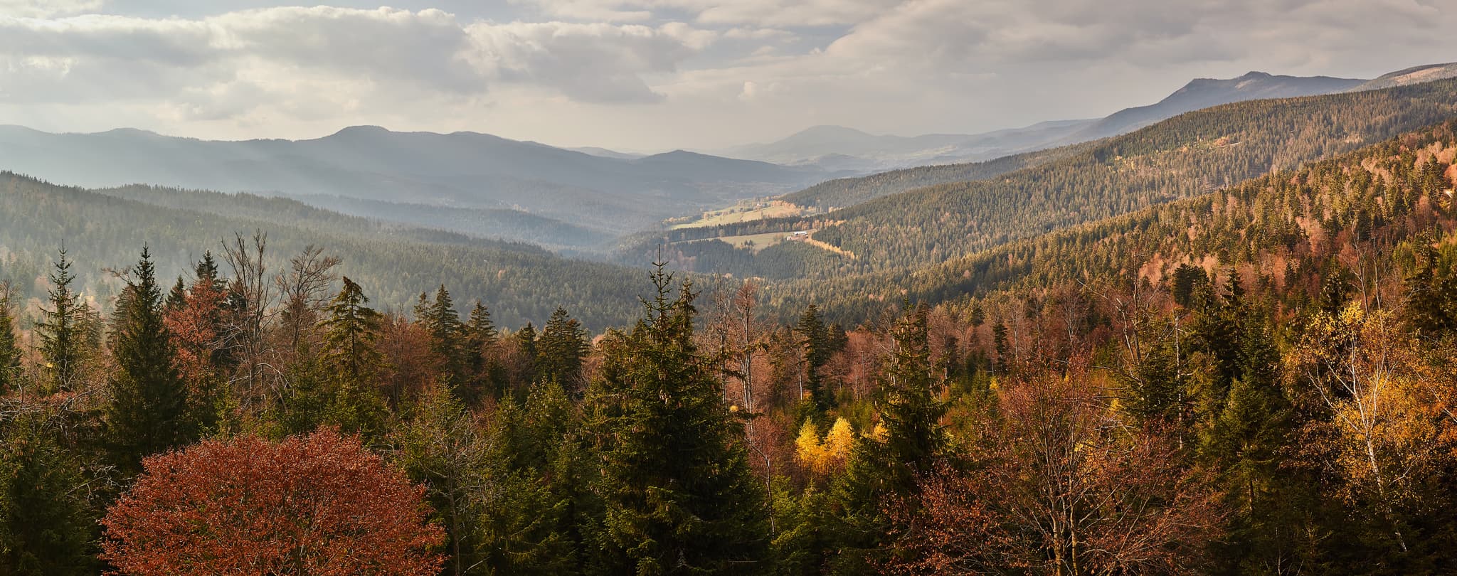 Hindenburgkanzel, Blick in den Bayerischen Wald, Oberpfalz - Panoramablick von der Hindenburgkanzel bei Lohberg im Landkreis Cham, Oberpfalz, Deutschland. Bewaldete Hügel im Bayerischen Wald unter Wolkenhimmel.