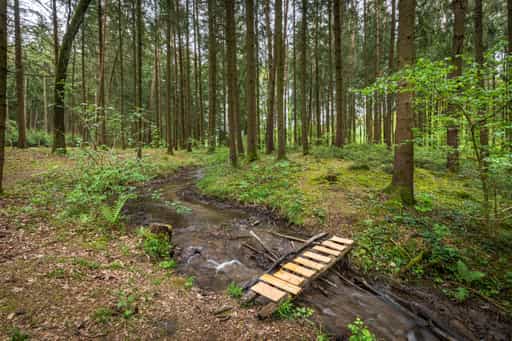 Hirschbach-Brücke, Teising, Oberbayern, Inn-Salzach