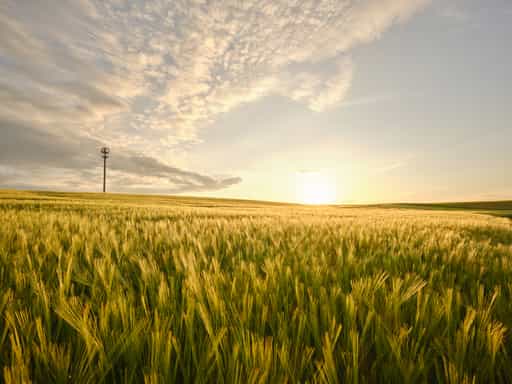 Hirtl - Weingarten, Mitterskrichen, Rottal-Inn, Niederbayern
