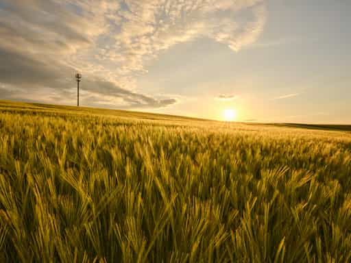 Hirtl - Weingarten, Mitterskrichen, Rottal-Inn, Niederbayern