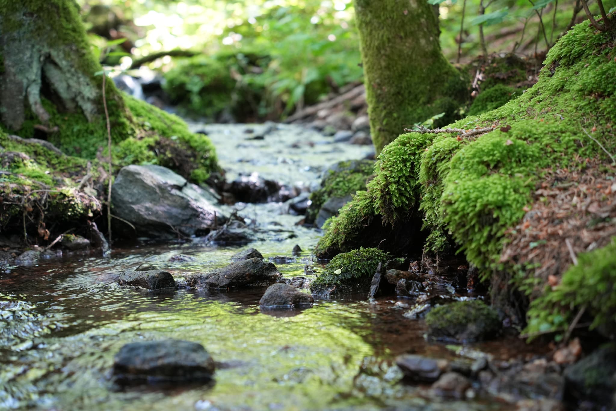 Hochfall in Bodenmais,schöner Wanderweg mit vielen motiven - Schöner Wasserfall im Herzen des Waldes, schöne nicht allzulange Wanderung mit vielen schönen Motiven 