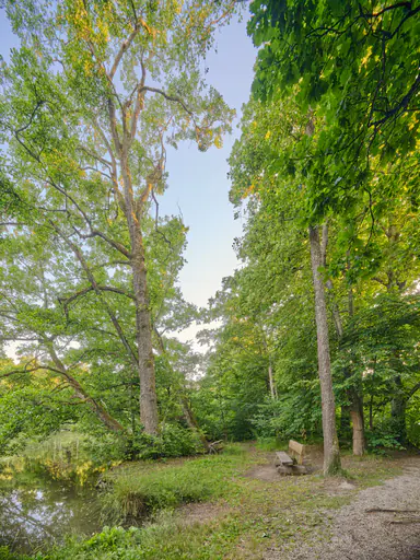 Idyllischer Lichtlberger Wald, Gern, Niederbayern, Holzland