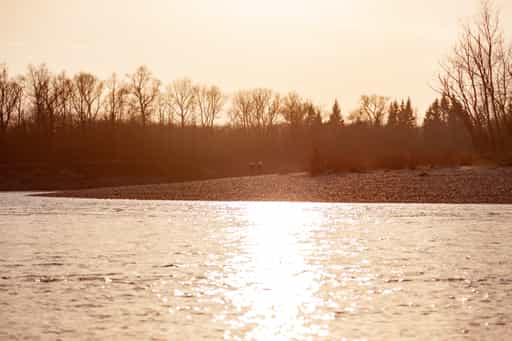 Inn Landschaft im Gegenlicht, Mühldorf, Oberbayern