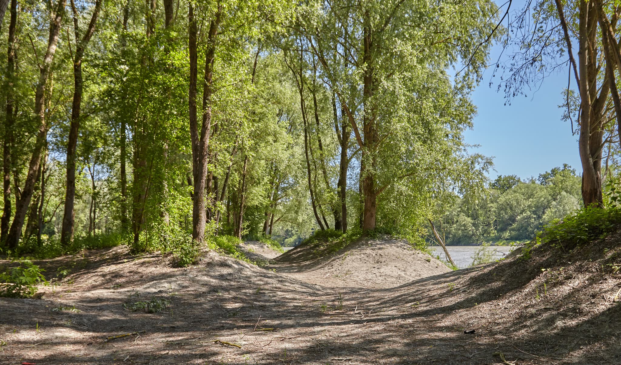 Inn Landschaft, unterhalb von Ecksberg bei Mühldorf - Grüne Waldlandschaft mit sandigen Hügeln am Inn-Ufer bei Ecksberg, Mühldorf am Inn. Naturkulisse Oberbayern, Deutschland, typisch für Inn-Salzach-Region.