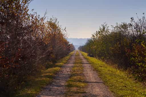 Inn-Radweg, Kirchdorf am Inn, PAN, Niederbayern, Holzland