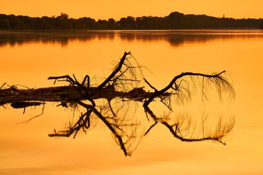 Inn Spiegelung, Frauenstein, Braunau am Inn, Oberösterreich