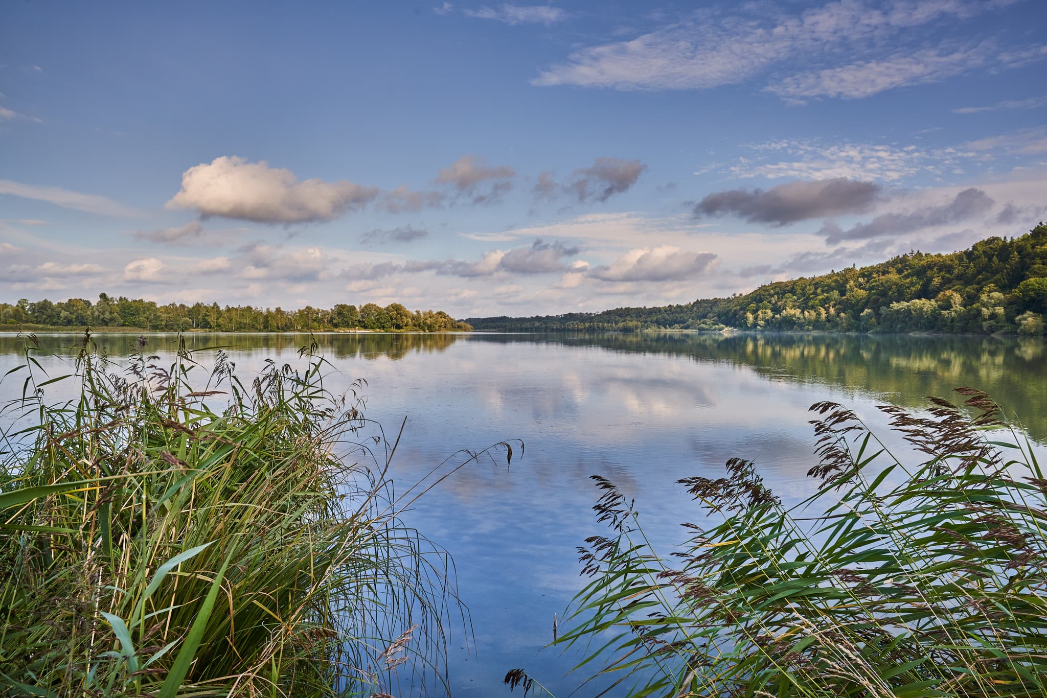Innspitz in Haiming, Salzachmündung, Altötting, Bayern, OÖ - Inn-Salzach Zusammenfluss in Haiming, Landkreis Altötting. Linkes Innufer ist Bayern, rechtes Waldgebiet ist der Weilhartforst in Oberösterreich.