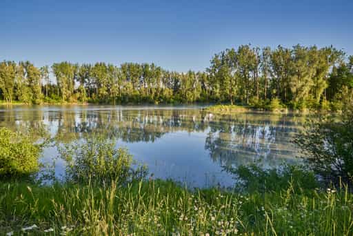 Innspitz Innkanal und Inn, Töging, Altötting, Oberbayern