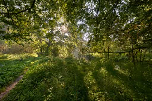 Isen Landschaft Pilgerweg, Steinhöring, Altötting