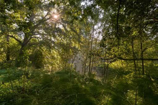 Isen Landschaft, Steinhöring, Altötting, Oberbayern