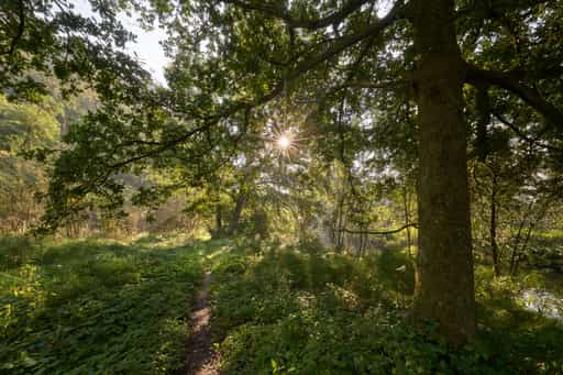 Isen Natur, Steinhöring, Winhöring, Altötting, Oberbayern