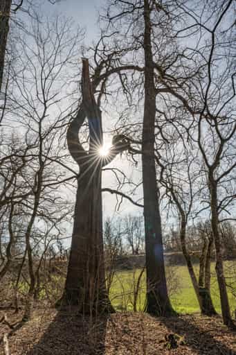 Isen-Stausee bei Winhöring, Altötting, Oberbayern
