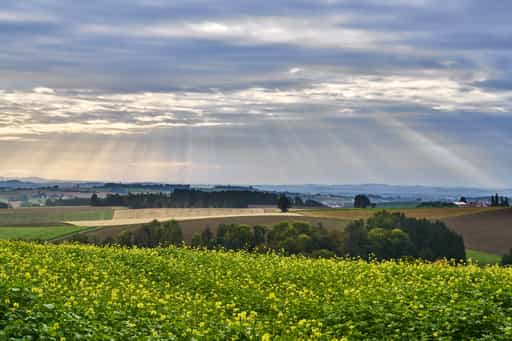 Kager Aussicht Herbst, Bad Griesbach, Passau