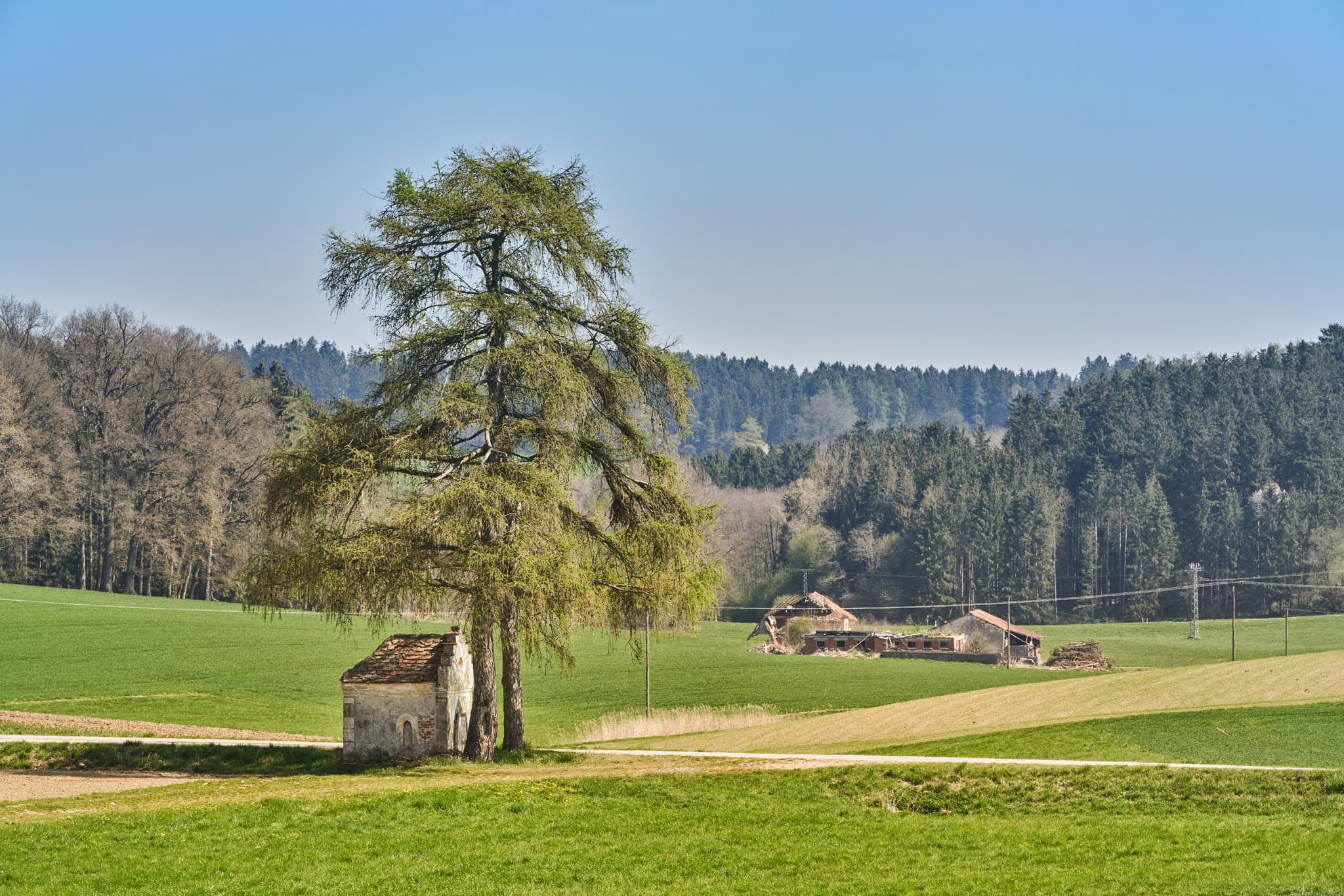 Kainrading, Mettenheim, Mühldorf am Inn, Oberbayern - Idyllische Landschaftsaufnahme zwischen Kirchisen und Kainrading mit Feldern und Wald bei Mettenheim im Landkreis Mühldorf am Inn, Oberbayern.