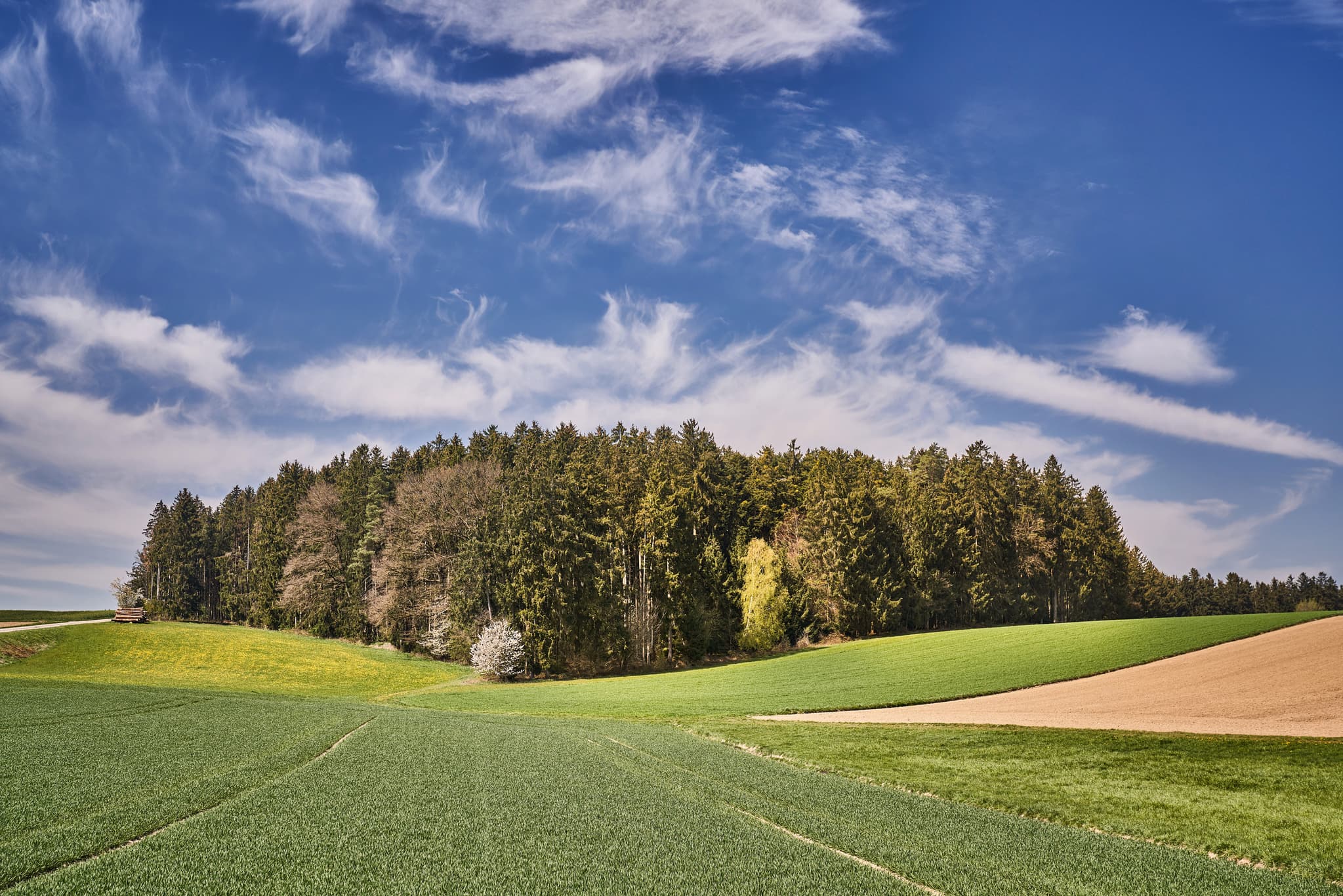 Kainrading, Mettenheim, Mühldorf am Inn, Oberbayern - Idyllische Landschaftsaufnahme zwischen Kirchisen und Kainrading mit Feldern und Wald bei Mettenheim im Landkreis Mühldorf am Inn, Oberbayern.