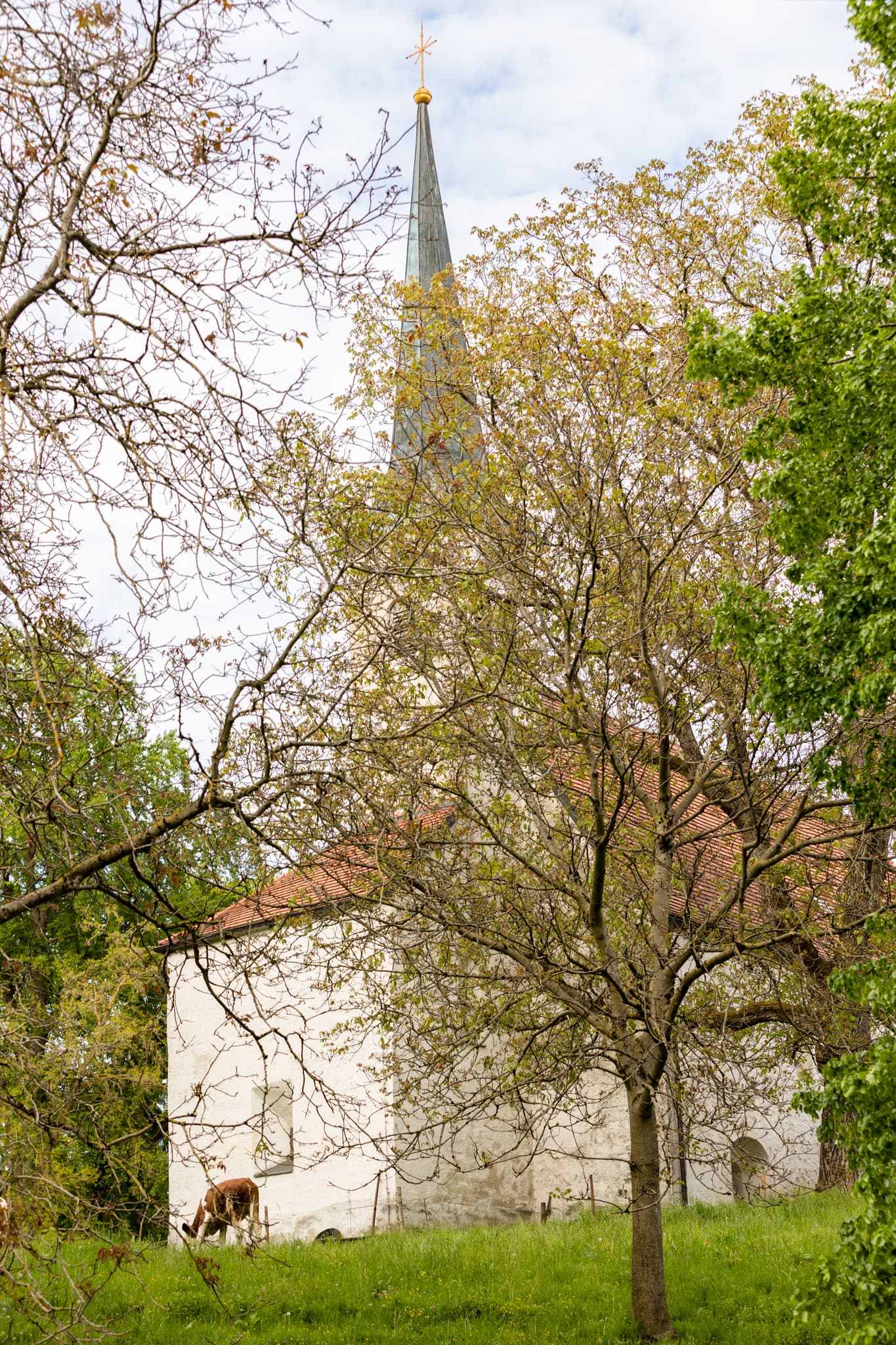 Kapelle Limberg, Haager Land Todeiskesselweg, Mühldorf - Kapelle Limberg am Todeiskesselweg Nr. 11 bei Haag, Mühldorf am Inn, Oberbayern. Inn-Salzach, Deutschland, mit weidendem Rind auf Wiese, umgeben Bäumen.