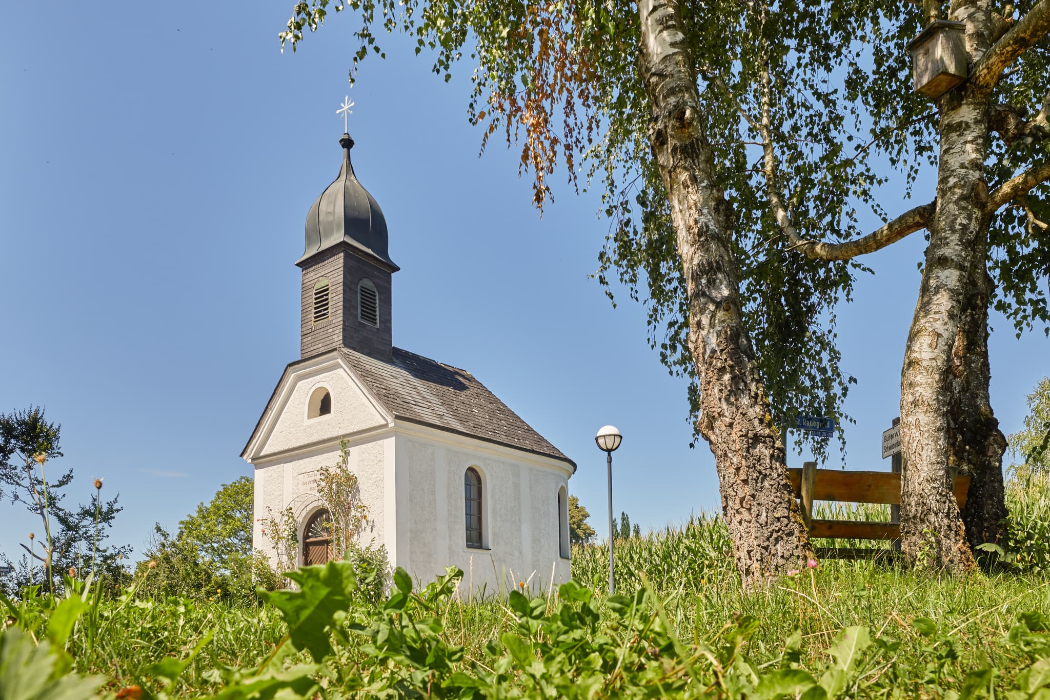 Kapelle, St. Radegund, Braunau am Inn, Oberösterreich - Kapelle in St. Radegund, Oberösterreich, im ländlichen Innviertel. Das Gotteshaus steht umgeben von Bäumen und Maisfeldern im Bezirk Braunau am Inn, Österreich.