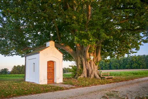 Kapellenlinde Schmidhub, Perach, Landkreis AltöttiOberbayern