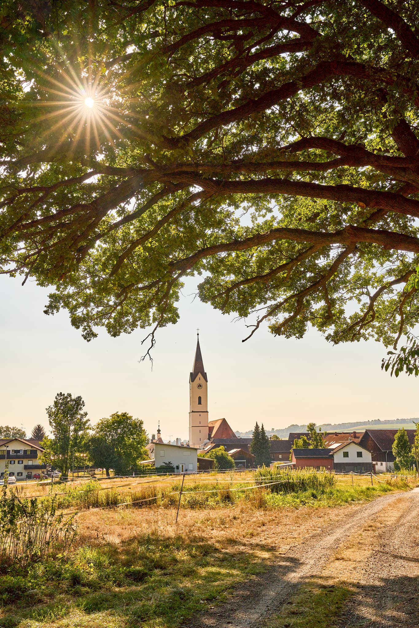 Karpfham, Bad Griesbach, Passau, Niederbayern, Bäderdreieck - Idyllische Landschaft mit Kirche und Baum in Karpfham, Bad Griesbach, Landkreis Passau, Niederbayern, Deutschland. Eine Ansicht des Bäderdreiecks.