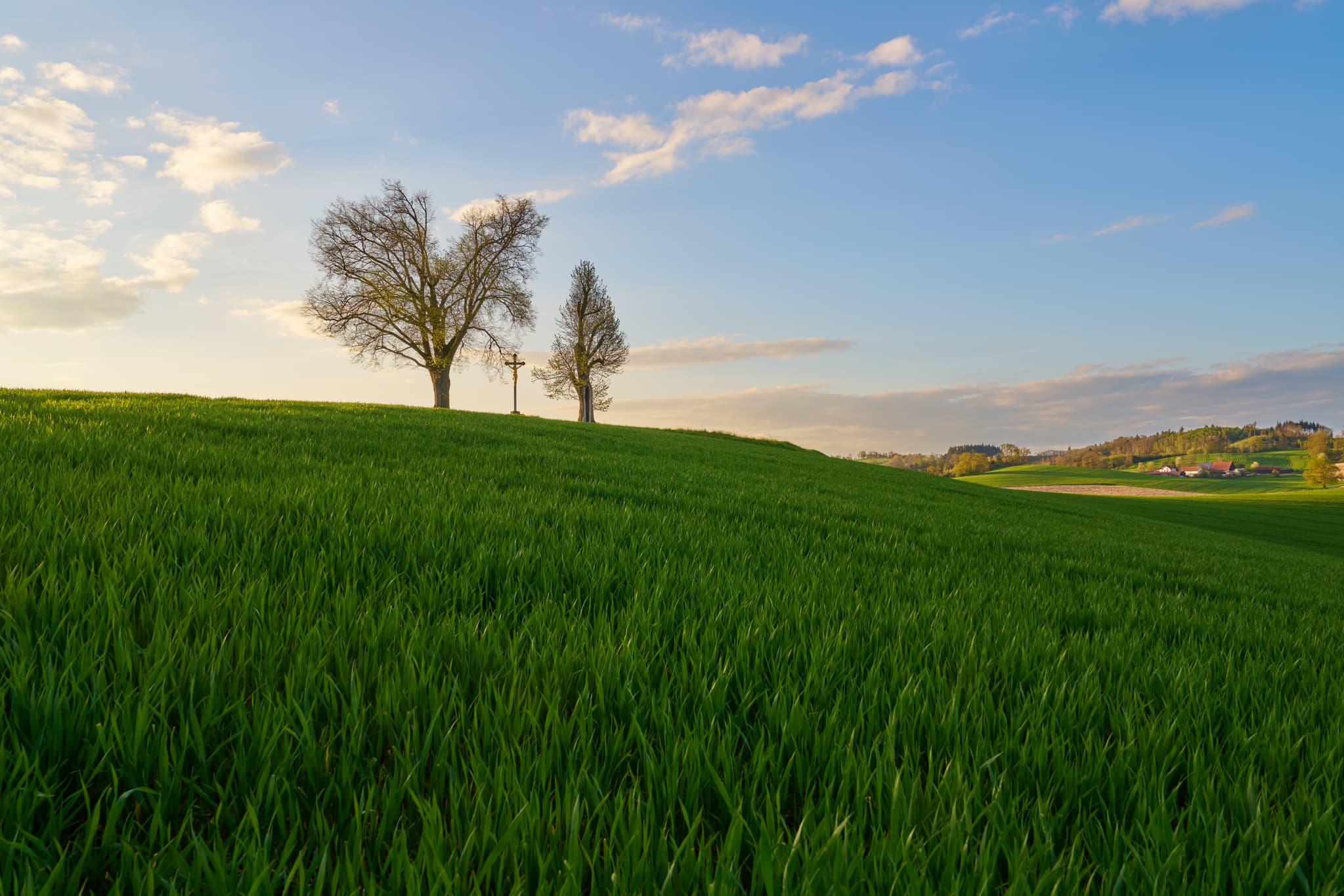 Karpfham Feldkreuz Aussichtspunkt Bad Griesbach, Passau - Malerisches Feldkreuz am Aussichtspunkt Karpfham bei Bad Griesbach im Landkreis Passau, Niederbayern. Eine idyllische Landschaft, Bayerische Toskana.