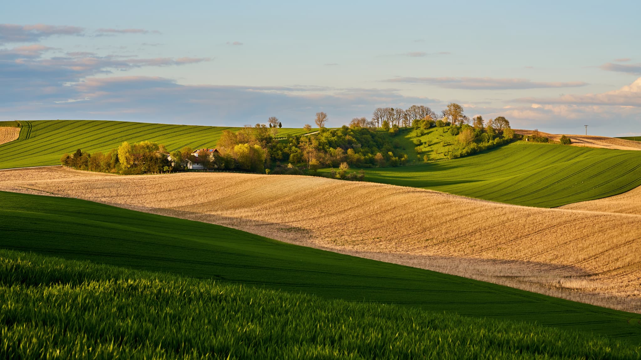 Karpfham Hügellandschaft am Feldkreuz, Passau, Niederbayern - Die malerische Hügellandschaft bei Karpfham im Landkreis Passau, Niederbayern, Deutschland. Eine idyllische Szene mit weiten Feldern.