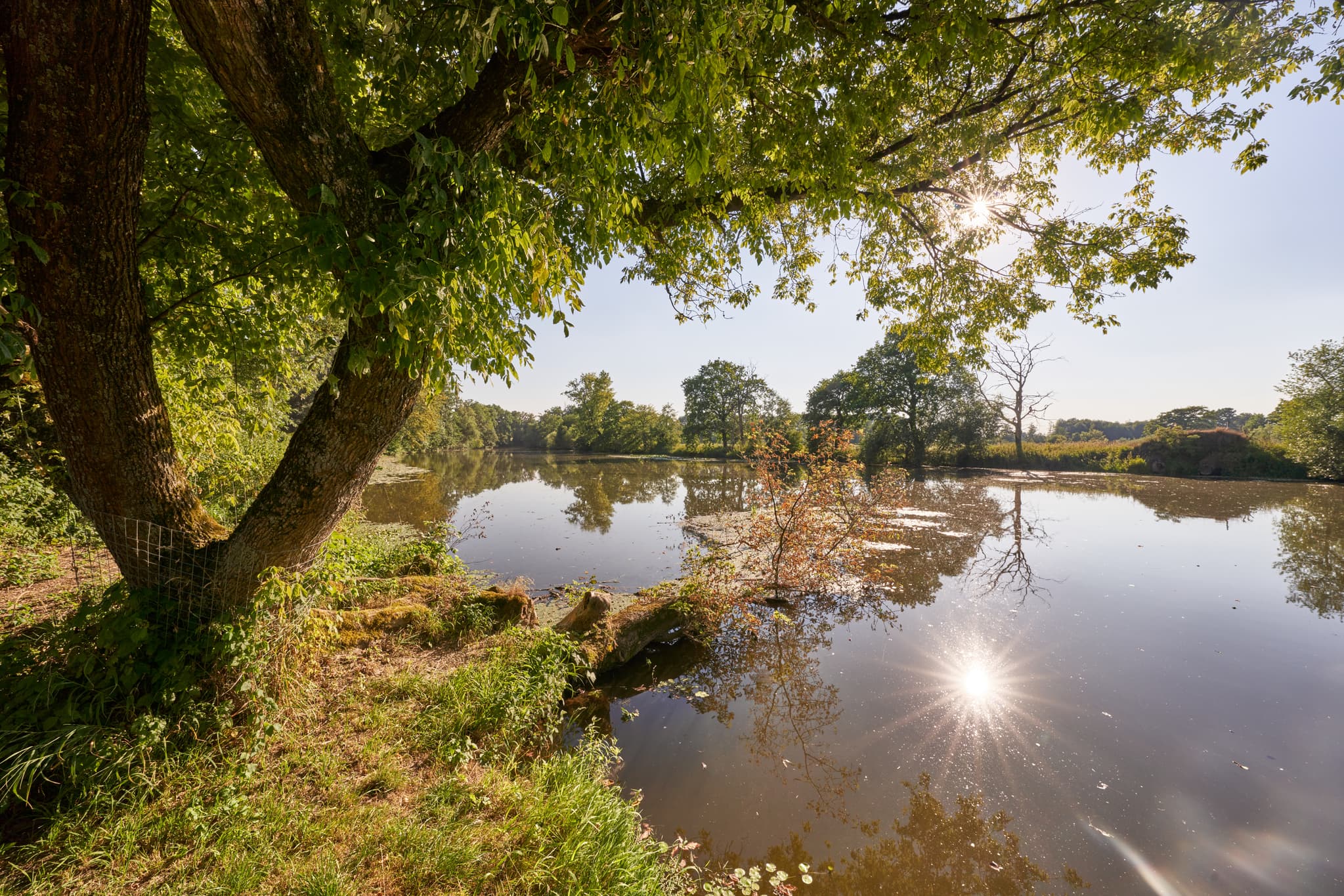 Karpfham Rott, Bad Griesbach, Passau, Niederbayern - Malerische Rott bei Schalkham nahe Bad Griesbach, Landkreis Passau, Niederbayern. Idylle im schönen Bayerischen Wald, Deutschland.