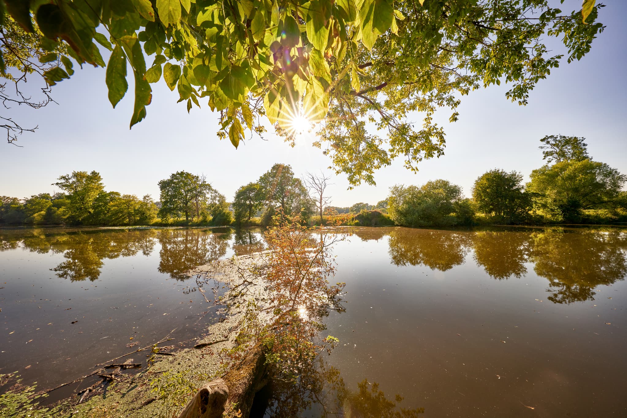Karpfham Rott bei Schalkham, Bad Griesbach, Passau - Idyllisches Gewässer des Karpfhamer Rott bei Schalkham in Bad Griesbach, Landkreis Passau, Niederbayern. Eine Naturaufnahme aus dem Bäderdreieck in Deutschland.