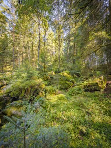 Kaser Steinstuben, Voglarn, Triftern, Rottal-Inn