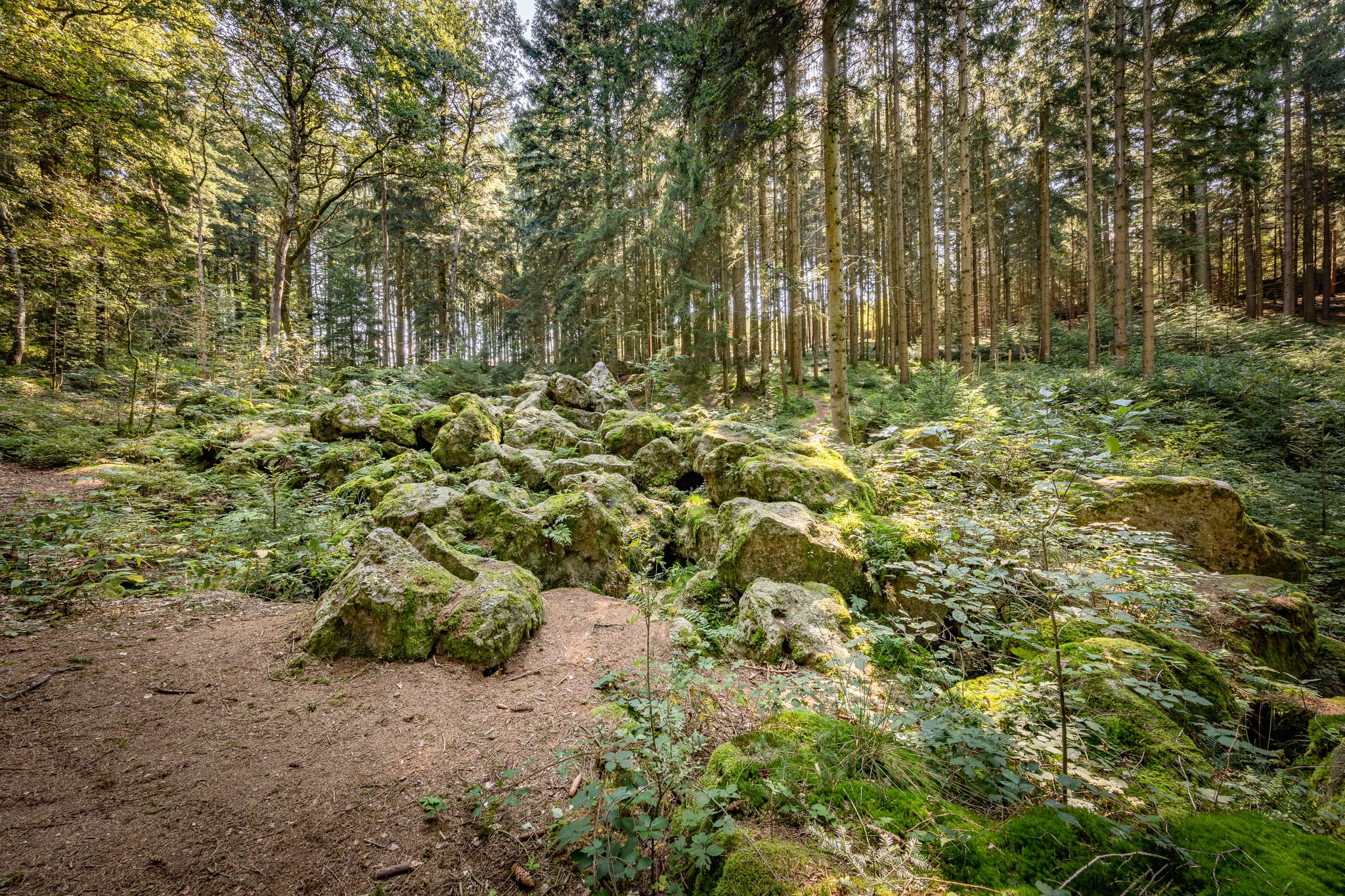 Kaser Steinstuben, Voglarn, Triftern, Rottal-Inn - Geotop im Waldgebiet mit großen Geröll-Steinen aus der Eiszeit in Voglarn bei Triftern, Rottal-Inn, Niederbayern, Holzland, Bäderdreieck, Deutschland.