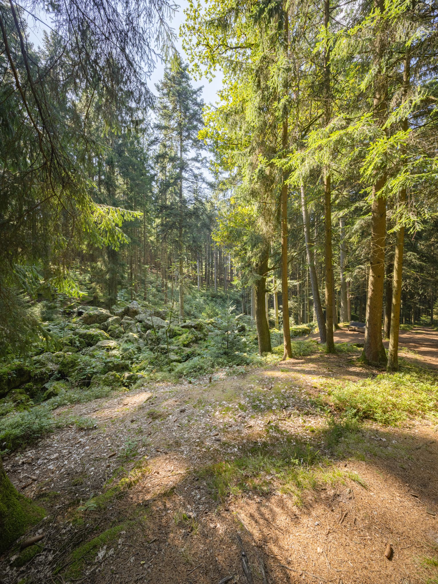 Kaser Steinstuben, Voglarn, Triftern, Rottal-Inn - Geotop im Waldgebiet mit großen Geröll-Steinen aus der Eiszeit in Voglarn bei Triftern, Rottal-Inn, Niederbayern, Holzland, Bäderdreieck, Deutschland.