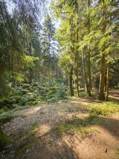 Kaser Steinstuben, Voglarn, Triftern, Rottal-Inn