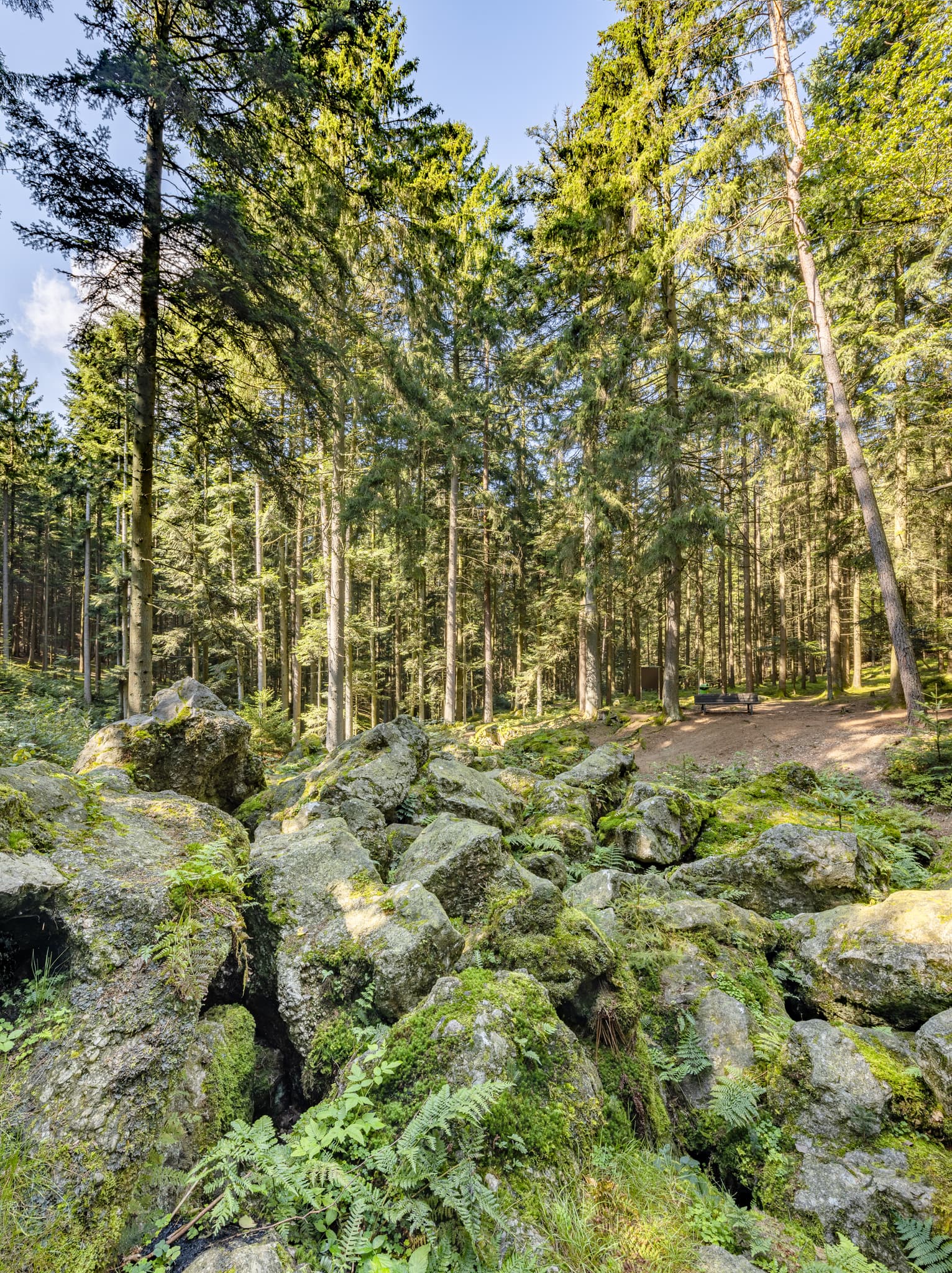 Kaser Steinstuben, Voglarn, Triftern, Rottal-Inn - Geotop im Waldgebiet mit großen Geröll-Steinen aus der Eiszeit in Voglarn bei Triftern, Rottal-Inn, Niederbayern, Holzland, Bäderdreieck, Deutschland.