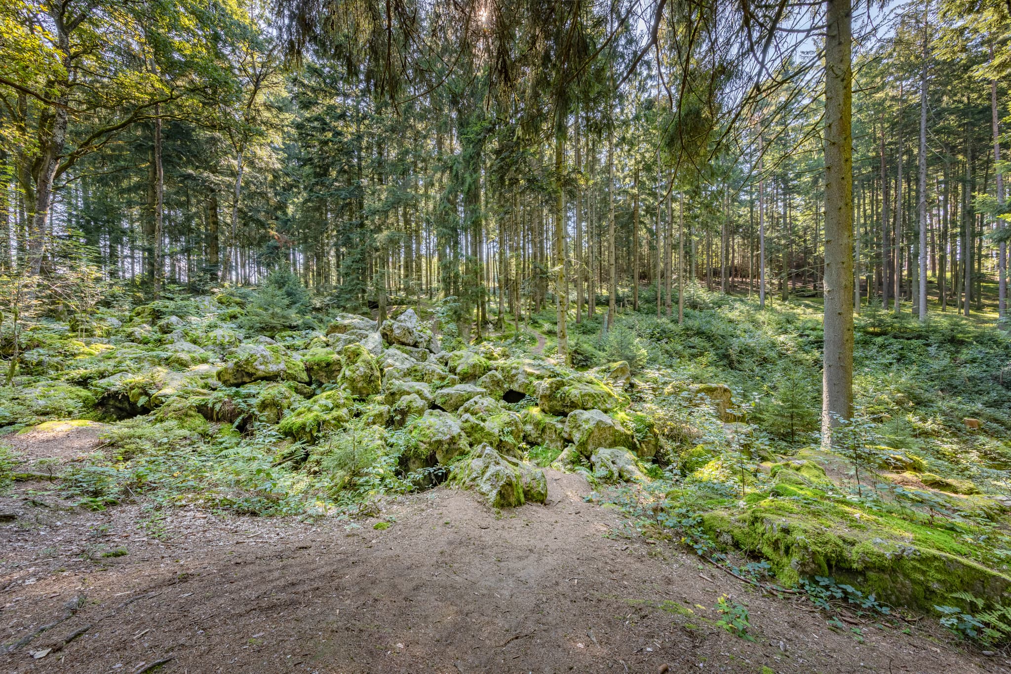 Kaser Steinstuben, Voglarn, Triftern, Rottal-Inn - Geotop im Waldgebiet mit großen Geröll-Steinen aus der Eiszeit in Voglarn bei Triftern, Rottal-Inn, Niederbayern, Holzland, Bäderdreieck, Deutschland.