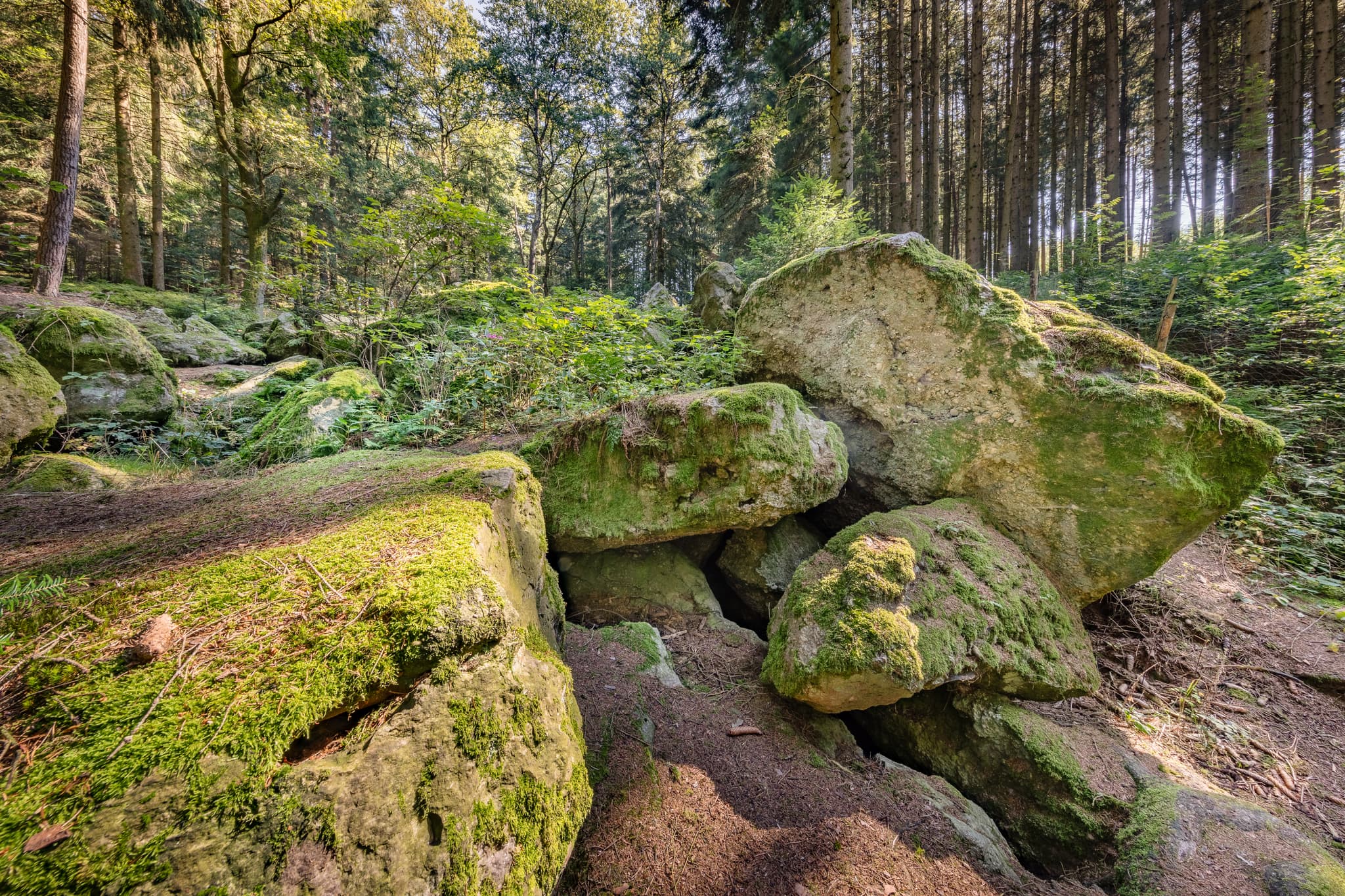 Kaser Steinstuben, Voglarn, Triftern, Rottal-Inn - Geotop im Waldgebiet mit großen Geröll-Steinen aus der Eiszeit in Voglarn bei Triftern, Rottal-Inn, Niederbayern, Holzland, Bäderdreieck, Deutschland.