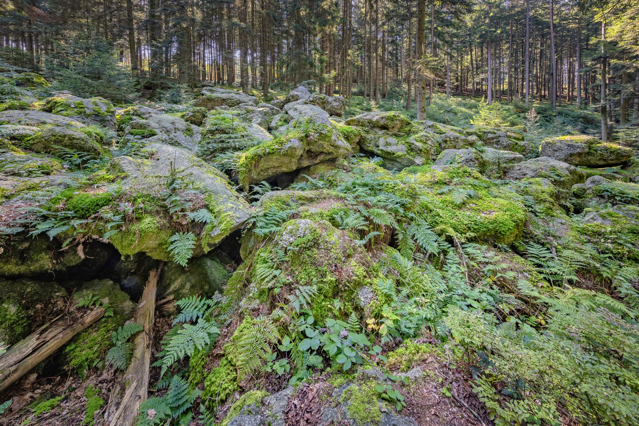 Kaser Steinstuben, Voglarn, Triftern, Rottal-Inn - Waldgebiet mit großen Geröll-Steinen aus der Eiszeit in Voglarn bei Triftern, Rottal-Inn, Niederbayern, Holzland, Bäderdreieck, Deutschland.