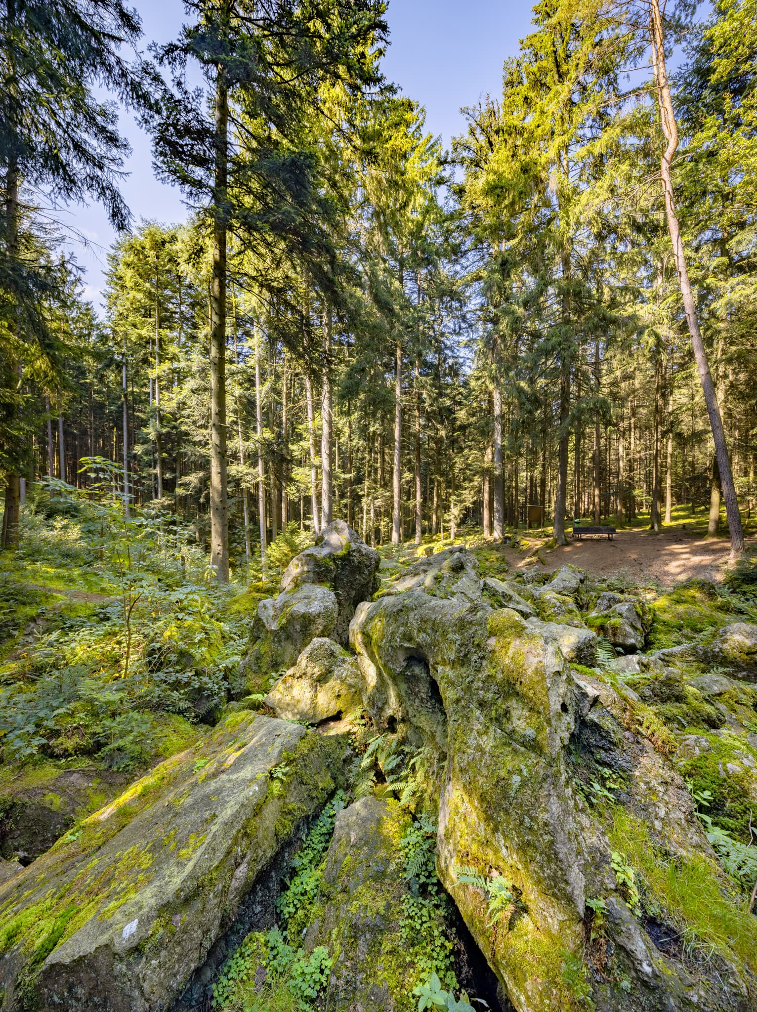 Kaser Steinstuben, Voglarn, Triftern, Rottal-Inn - Geotop im Waldgebiet mit großen Geröll-Steinen aus der Eiszeit in Voglarn bei Triftern, Rottal-Inn, Niederbayern, Holzland, Bäderdreieck, Deutschland.