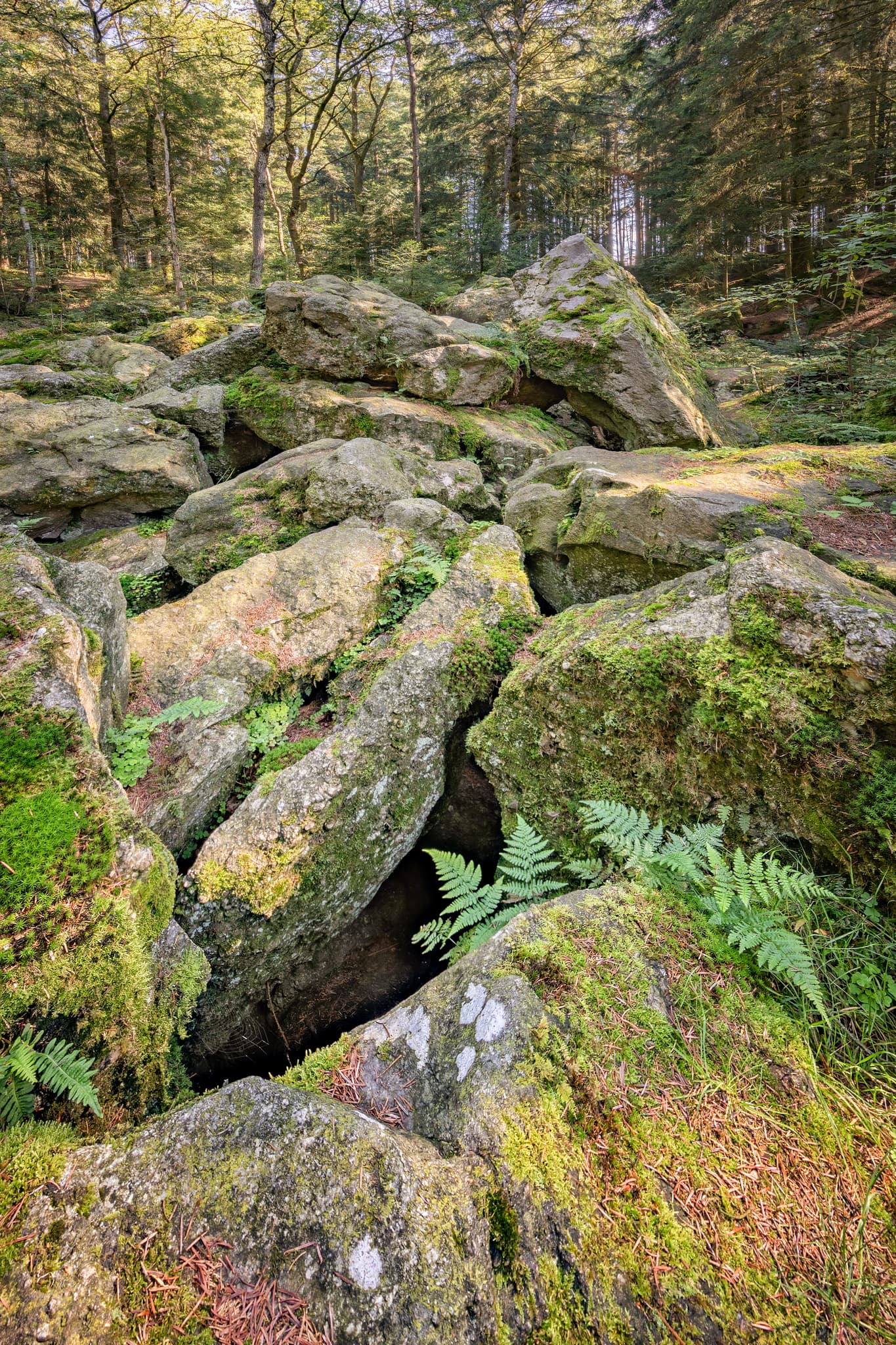 Kaser Steinstuben, Voglarn, Triftern, Rottal-Inn - Waldgebiet mit großen Geröll-Steinen aus der Eiszeit in Voglarn bei Triftern, Rottal-Inn, Niederbayern, Holzland, Bäderdreieck, Deutschland.