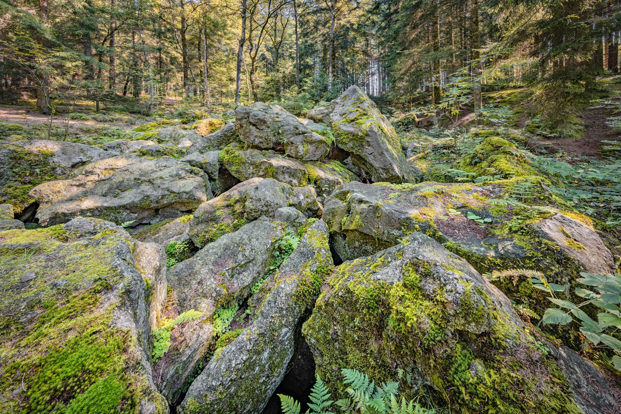 Kaser Steinstuben, Voglarn, Triftern, Rottal-Inn - Geotop im Waldgebiet mit großen Geröll-Steinen aus der Eiszeit in Voglarn bei Triftern, Rottal-Inn, Niederbayern, Holzland, Bäderdreieck, Deutschland.
