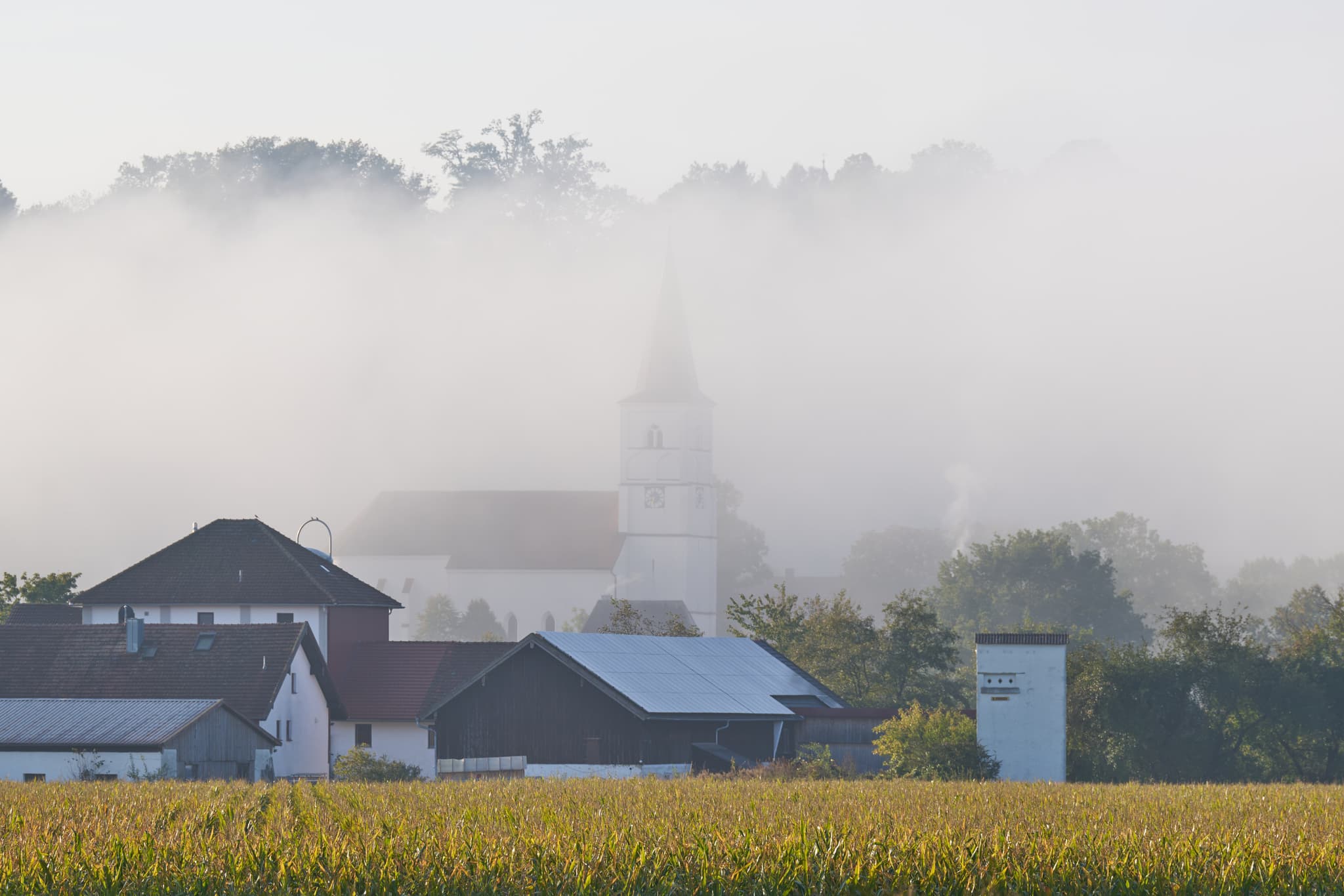 Kirche im Morgennebel, Postmünster, Rottal-Inn, Niederbayern - Ansicht einer Kirche in Postmünster, Rottal-Inn, Niederbayern, eingehüllt in dichten Morgennebel. Eine ländliche Szene im Holzland.