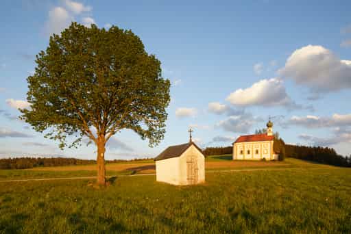 Kirche Niederaich St. Korona Mariä Himmelfahrt, Pleiskirchen