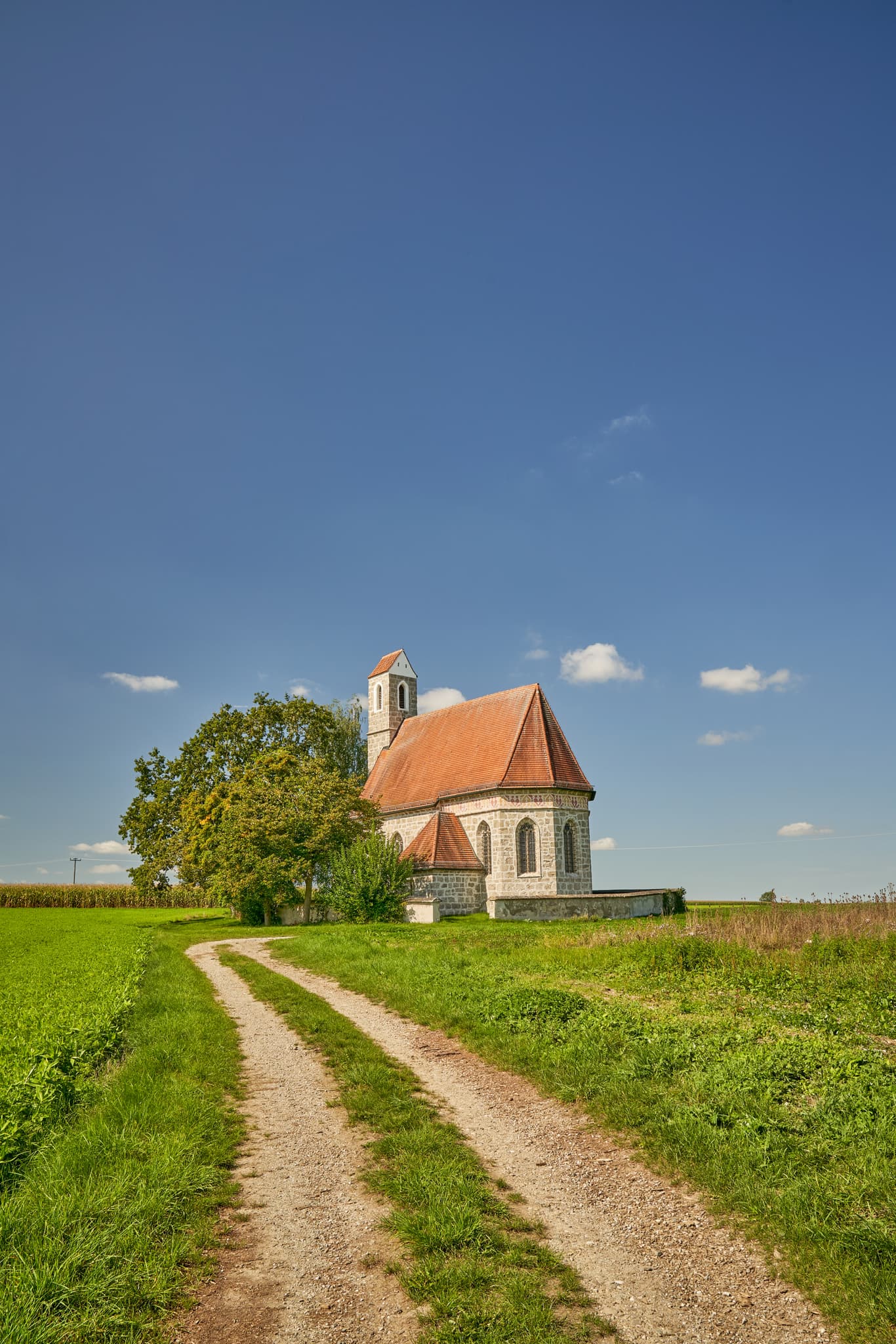 Kirche St. Alban, Peterskirchen, Tacherting, Traunstein - Kirche St. Alban, Peterskirchen, Tacherting, Landkreis Traunstein, Oberbayern. Motiv der Kirche umgeben von Feldern im Chiemgau, Deutschland.
