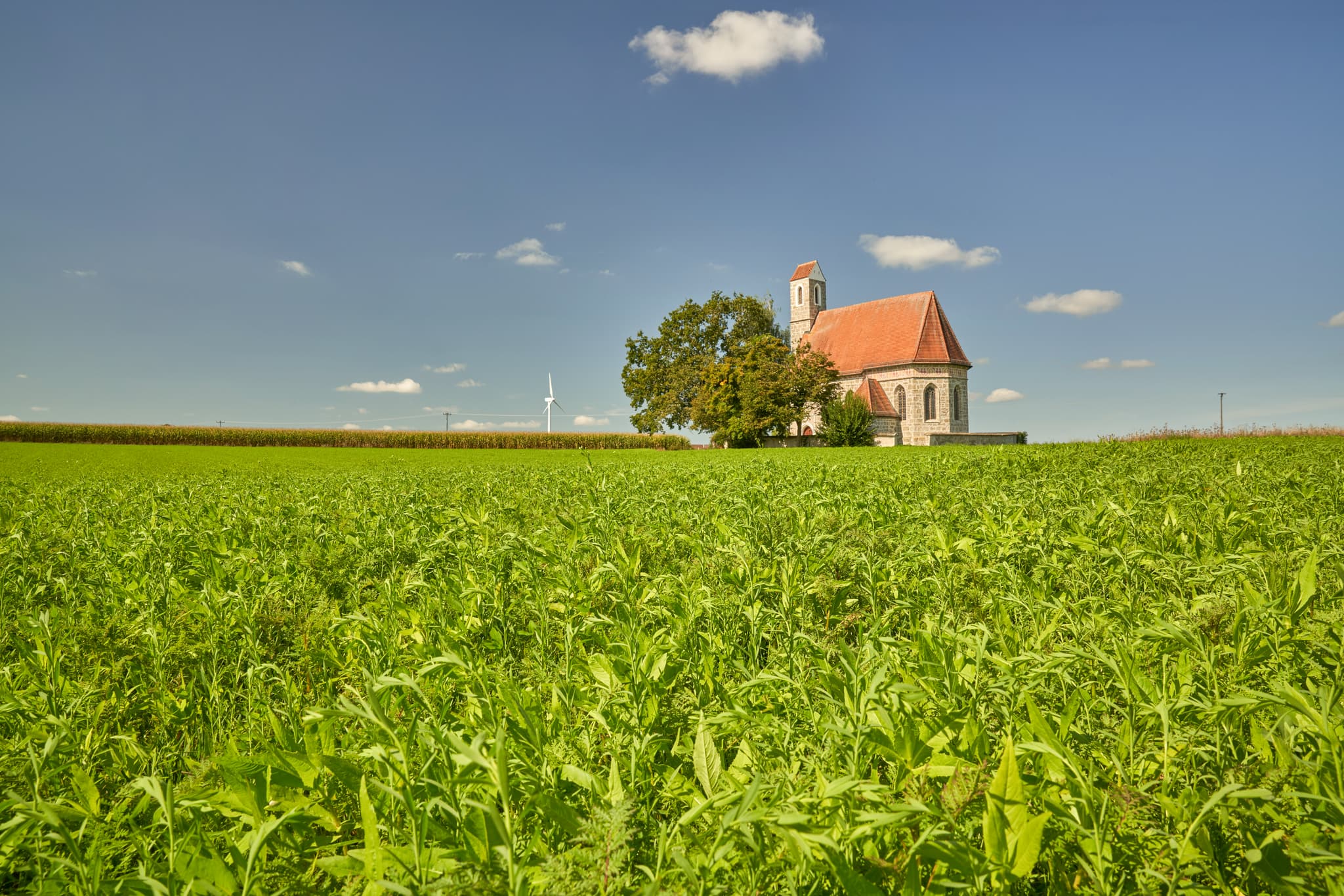 Kirche St. Alban, Peterskirchen, Tacherting, Traunstein - Kirche St. Alban, Peterskirchen, Tacherting, Landkreis Traunstein, Oberbayern. Motiv der Kirche umgeben von Feldern im Chiemgau, Deutschland.