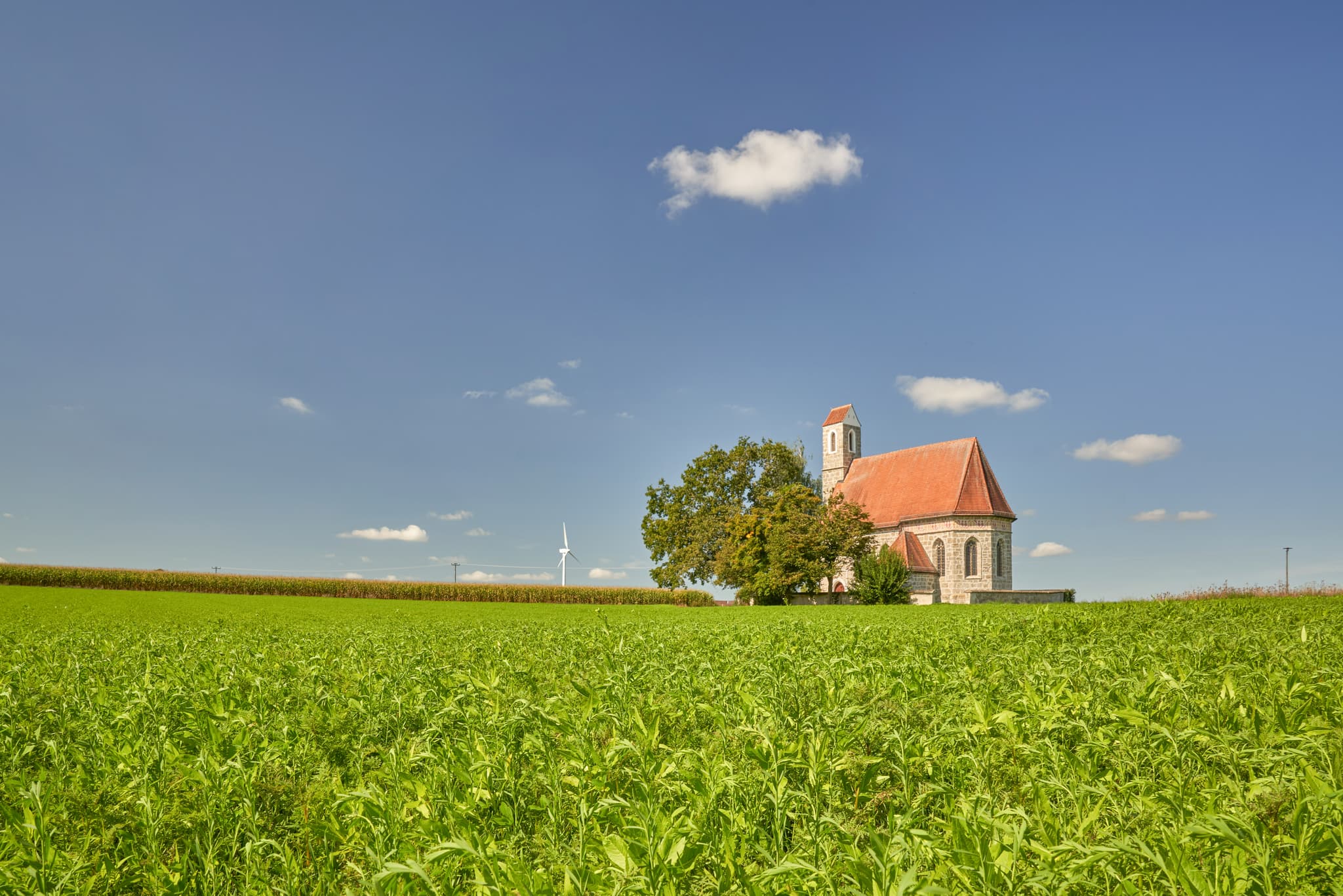 Kirche St. Alban, Peterskirchen, Tacherting, Traunstein - Kirche St. Alban, Peterskirchen, Tacherting, Landkreis Traunstein, Oberbayern. Motiv der Kirche umgeben von Feldern im Chiemgau, Deutschland.
