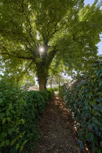Kirche St. Maria Friedhof Baum, Winhöring, Altötting