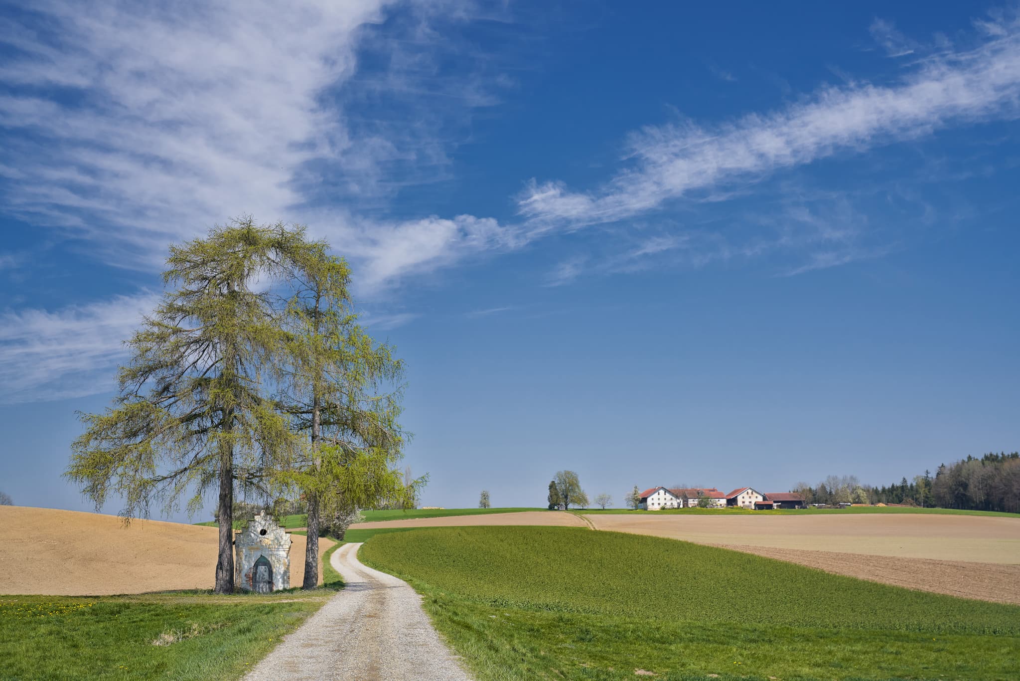 Kirchisen Mettenheim, Mühldorf am Inn, Oberbayern - Idyllische Landschaft in Mettenheim, Mühldorf am Inn, Oberbayern. Kapelle mit Bäumen am Feldweg, umgeben von Feldern u. Höfen.