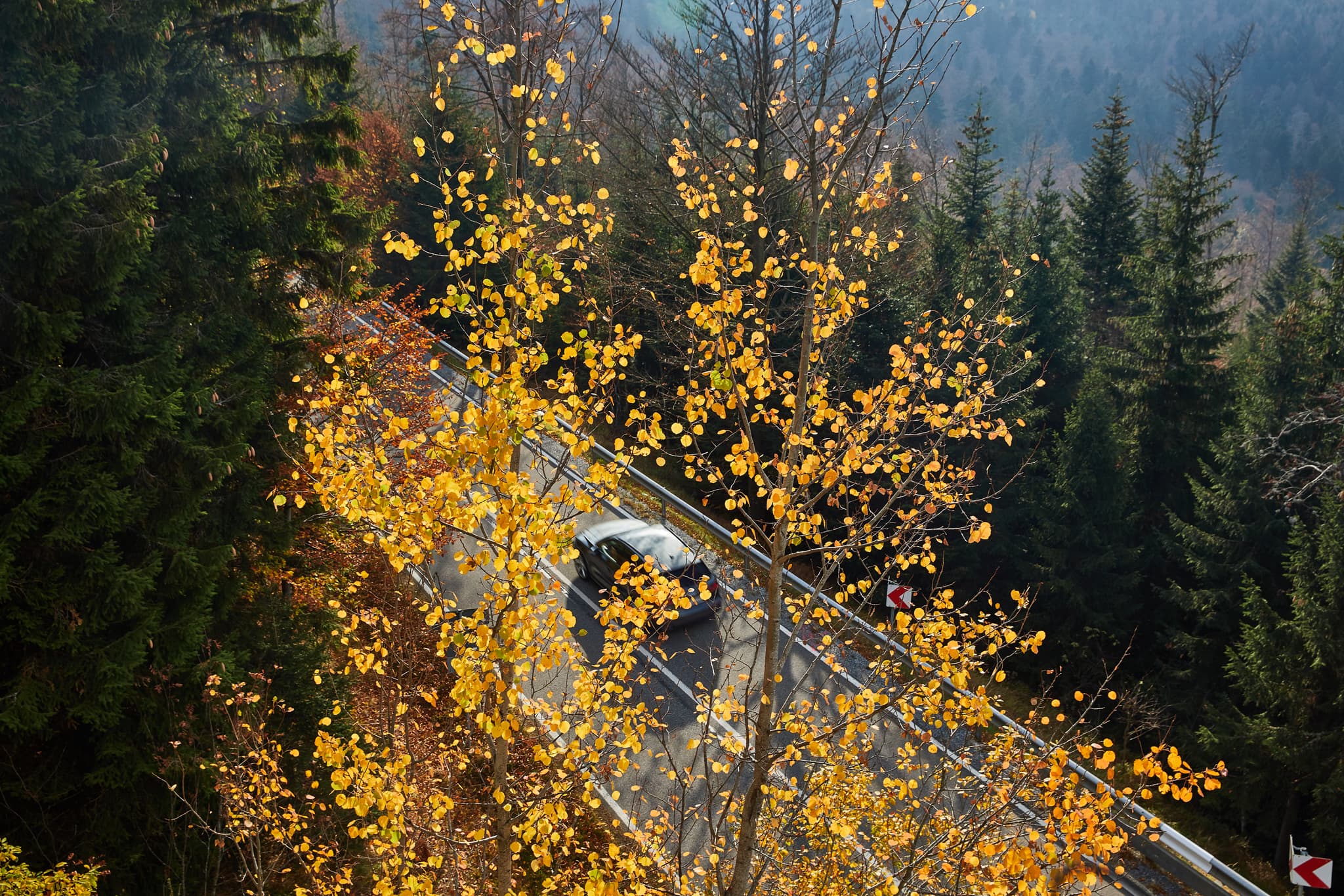 Kleiner Arbersee, Lohberg, Cham, Oberpfalz, Bayerischer Wald - Der Kleine Arbersee in Lohberg, Landkreis Cham, Oberpfalz. Ruhiges Wasser und bewaldete Ufer mit Herbstlaub spiegeln sich.