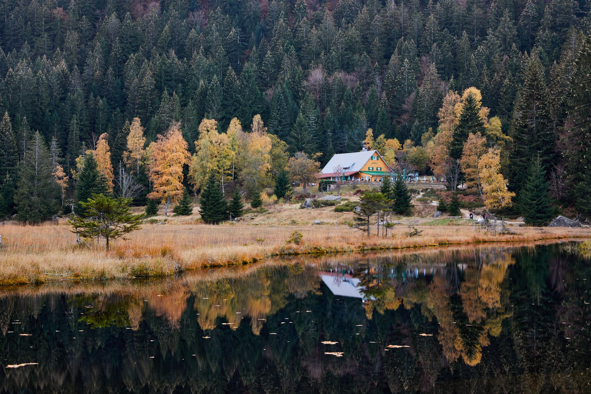 Kleiner Arbersee, Lohberg, Cham, Oberpfalz, Bayerischer Wald - Kleiner Arbersee in Lohberg, Landkreis Cham, Oberpfalz, Deutschland. Hütte und Herbstwald am Ufer. Die Landschaft des Bayerischen Waldes.
