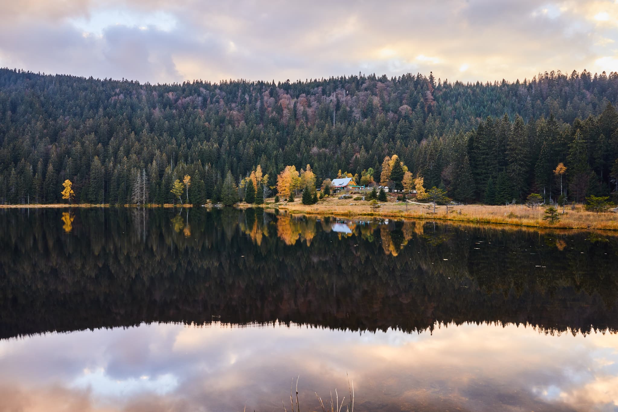 Kleiner Arbersee, Lohberg, Cham, Oberpfalz, Bayerischer Wald - Der Kleine Arbersee in Lohberg, Landkreis Cham, Oberpfalz. Ruhiges Wasser und bewaldete Ufer mit Herbstlaub spiegeln sich.